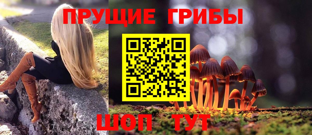 где купить наркотик  Вход с VPN  Новозыбков  Галлюциногенные грибы мицелий  Галлюциногенные грибы Magic Shrooms 